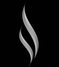 CandleTree Logo